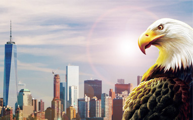 企業(yè)價(jià)值觀